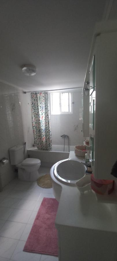 Εξοχικό Roxani Villa Ambelakia Bagian luar foto