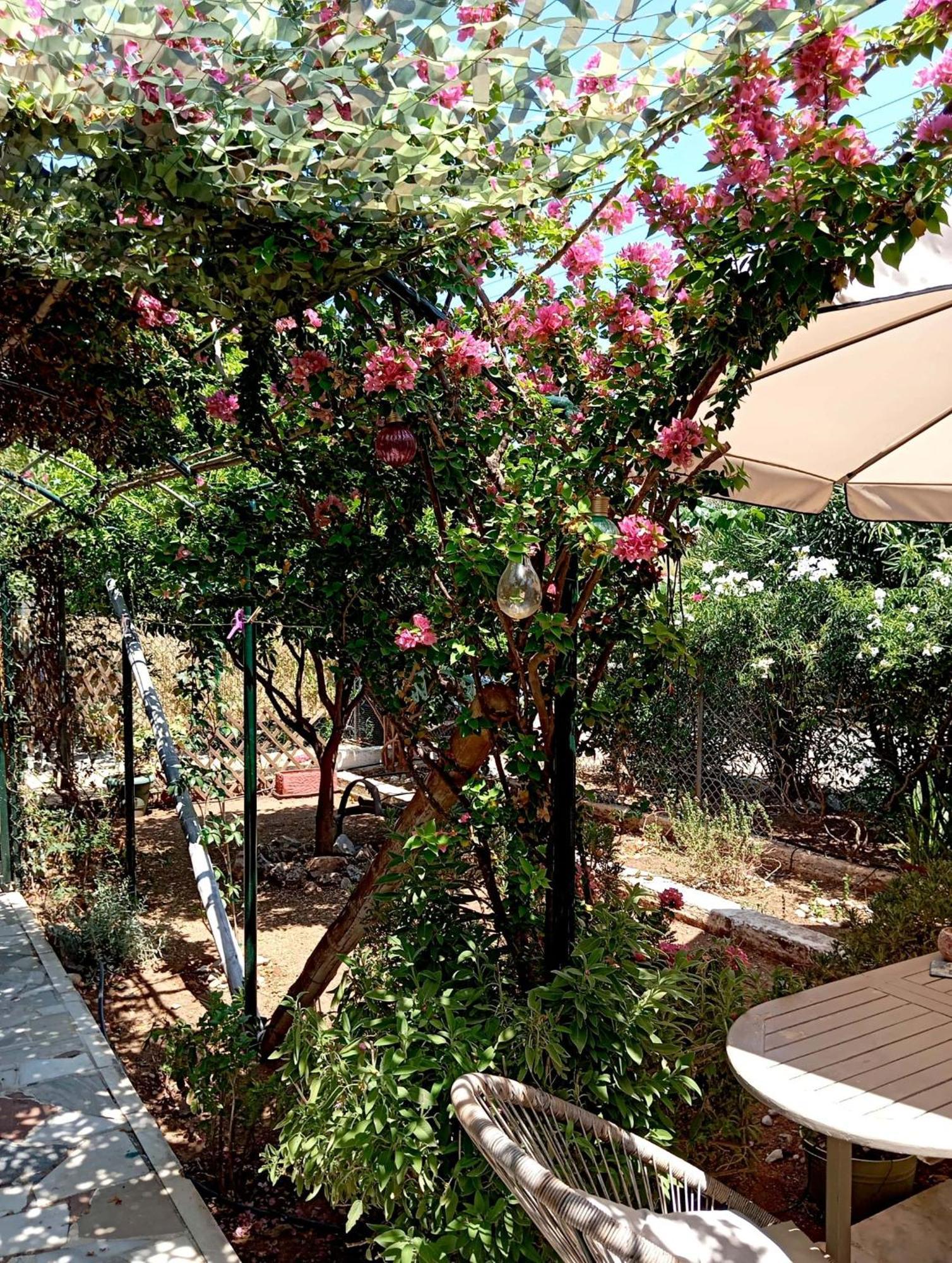 Εξοχικό Roxani Villa Ambelakia Bagian luar foto