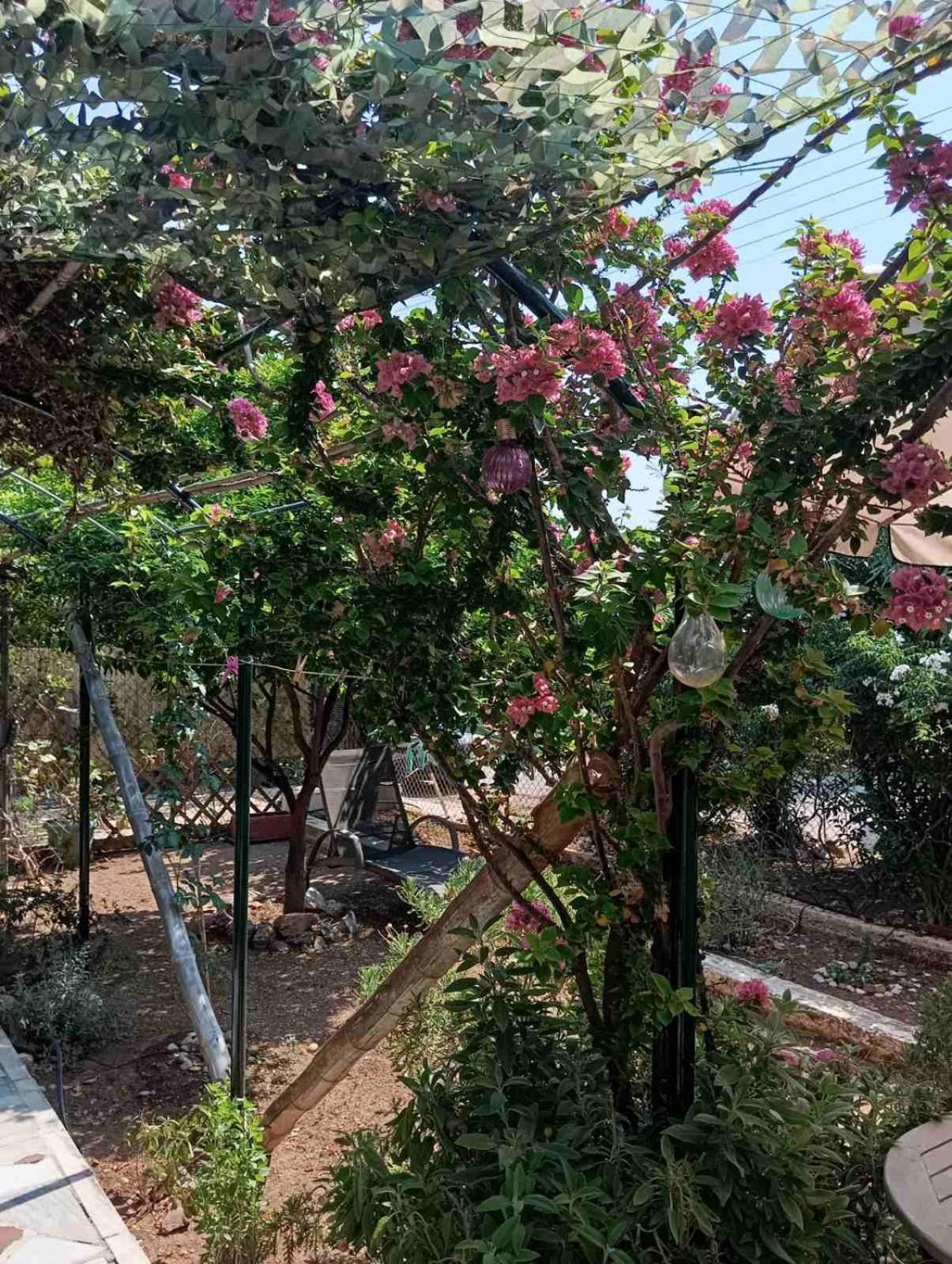 Εξοχικό Roxani Villa Ambelakia Bagian luar foto