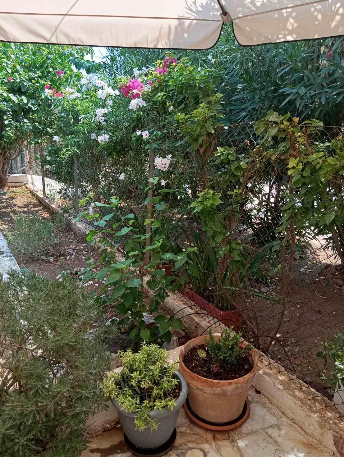Εξοχικό Roxani Villa Ambelakia Bagian luar foto